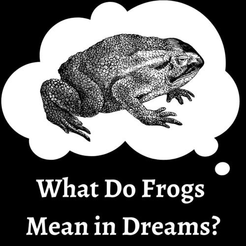 Common Frog Dream Scenarios
