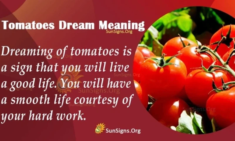 Common Tomato Dream Scenarios And Their Interpretations