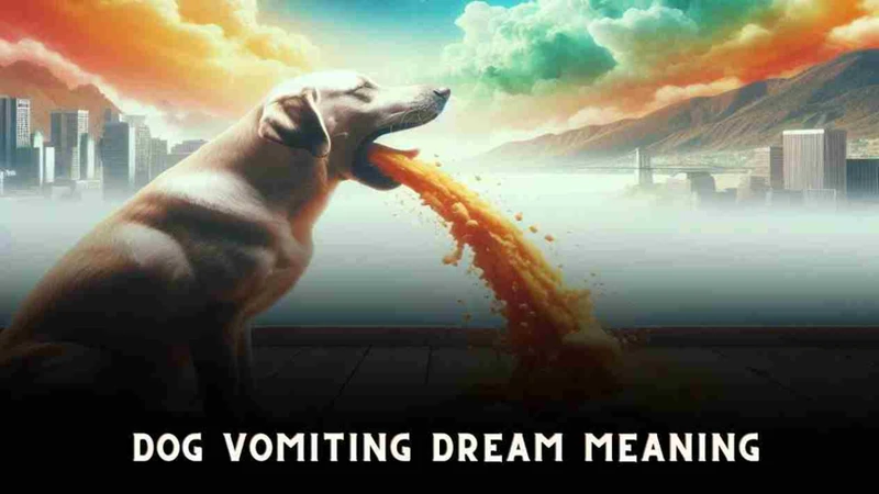 Common Vomiting Dream Scenarios