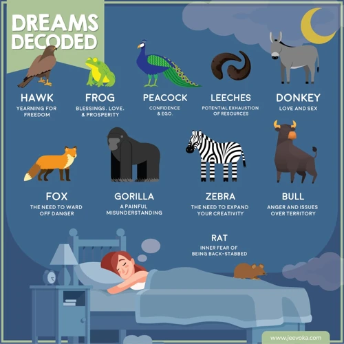 Diving Into The Psychology Of Wild Dreams