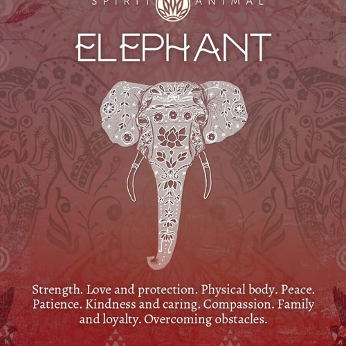Elephant Dreams In Different Cultures And Beliefs