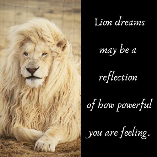 Emotions And Sensations In Lion Dreams
