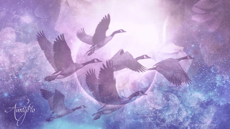 Interpretations Of Different Birds In Dreams