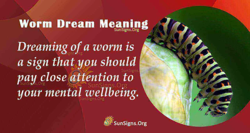 Interpreting A Dream About Worms