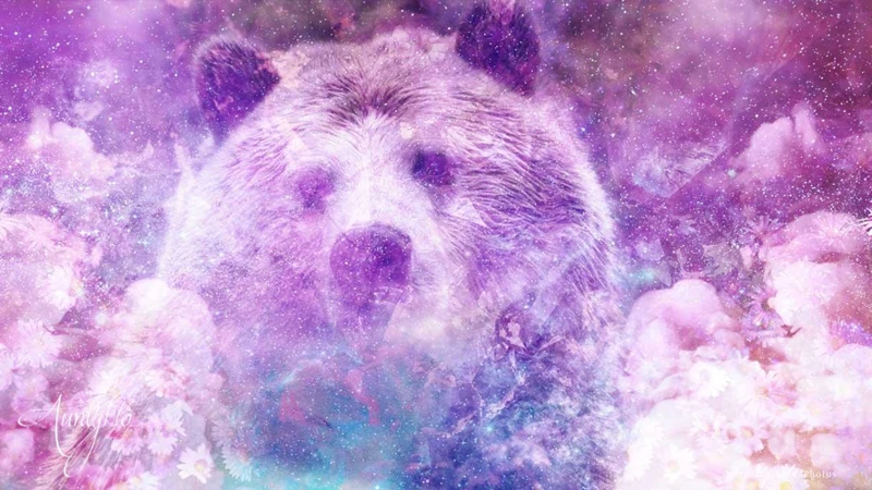 Interpreting A Pet Bear Dream