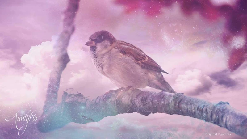 Interpreting A Sparrow In Your Dream