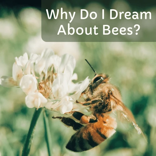 Interpreting Bee Stings In Dreams