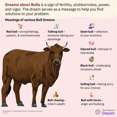 Interpreting Bull Chasing Dreams