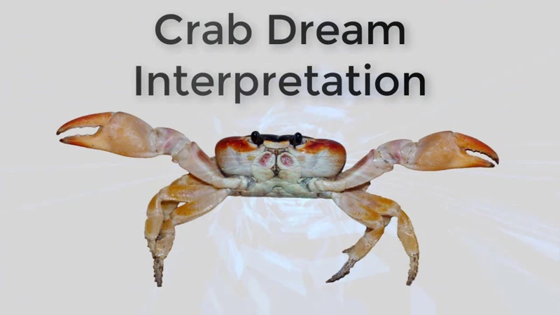 Interpreting Crab Dreams