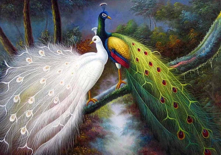 Interpreting Peacock Dreams