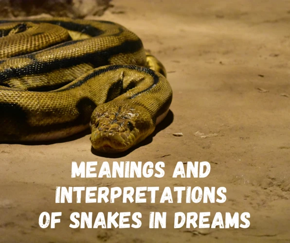 Interpreting Snake Dreams