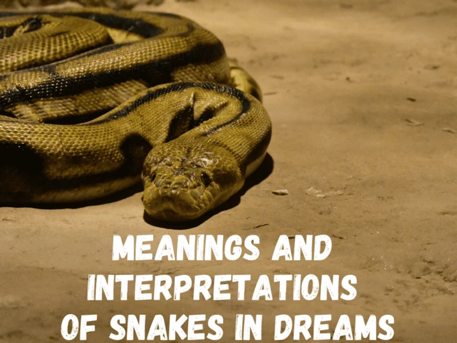 Interpreting Snakes In Dreams From A Biblical Perspective