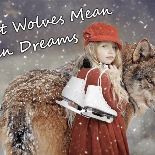 Interpreting Wolf Dreams