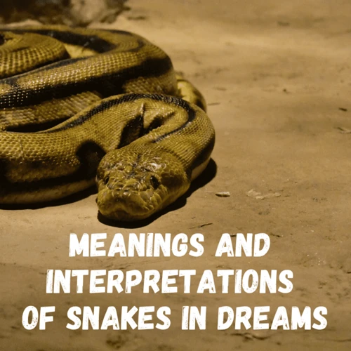 Scenarios Of Snake Chasing In Dreams