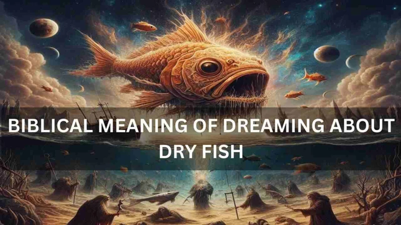 Symbolic Interpretation Of Dry Fish