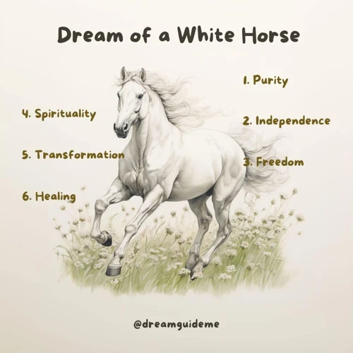 Symbolism Of A White Horse