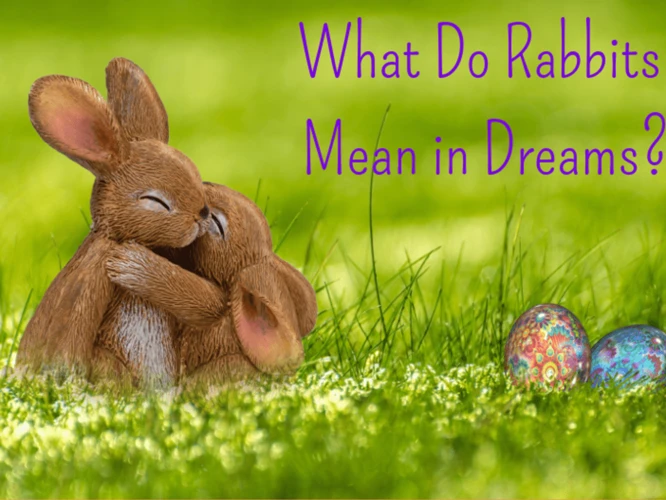 Symbolism Of Rabbits In Dreams