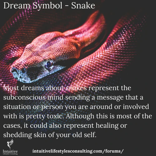 Symbolism Of Snakes In Dreams