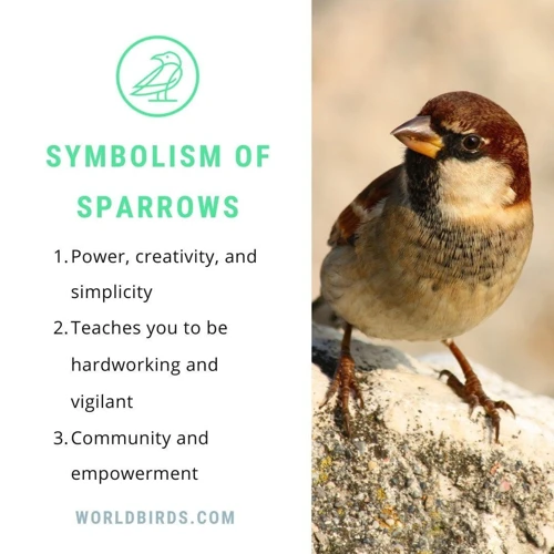 Symbolism Of Sparrows