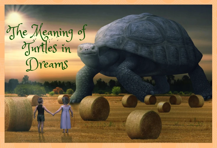 Symbolism Of Tortoises In Dreams