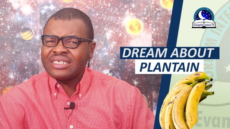 Symbolism Of Unripe Plantain In Dreams