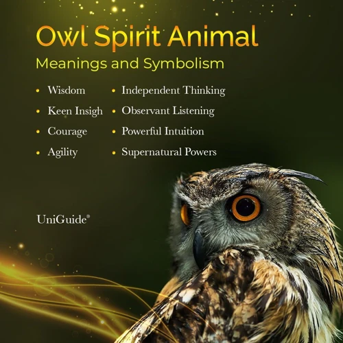 The Symbolic Significance Of Owls