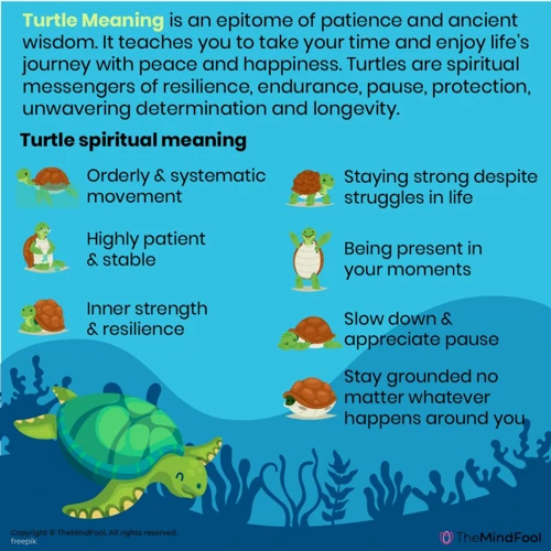 The Symbolism Behind Turtle Characteristics