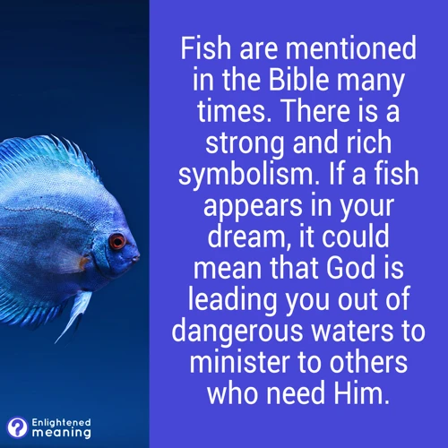 The Symbolism Of Fish In The Bible