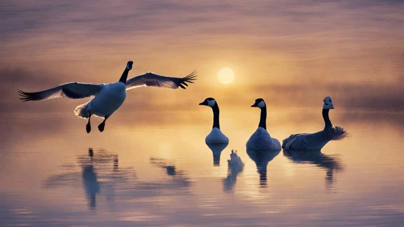 The Symbolism Of Geese In Dreams