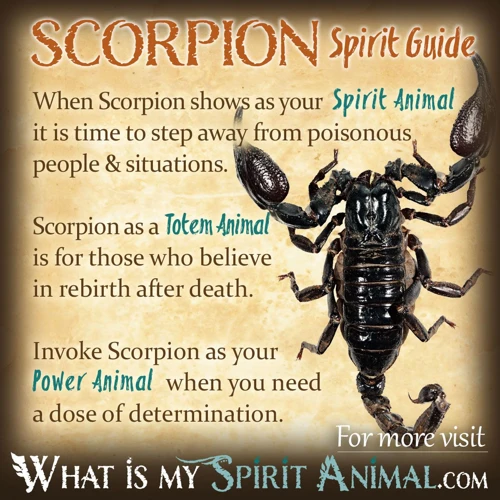 The Symbolism Of Scorpion