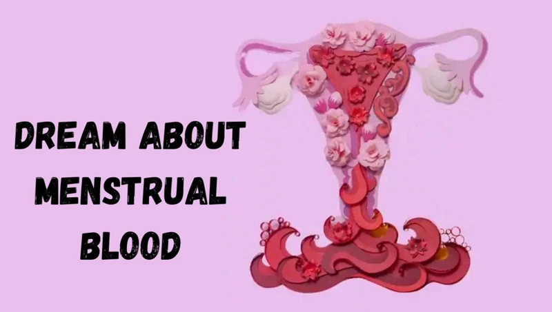 Understanding Menstruation In Dreams