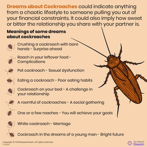 Understanding Roaches As Dream Symbols