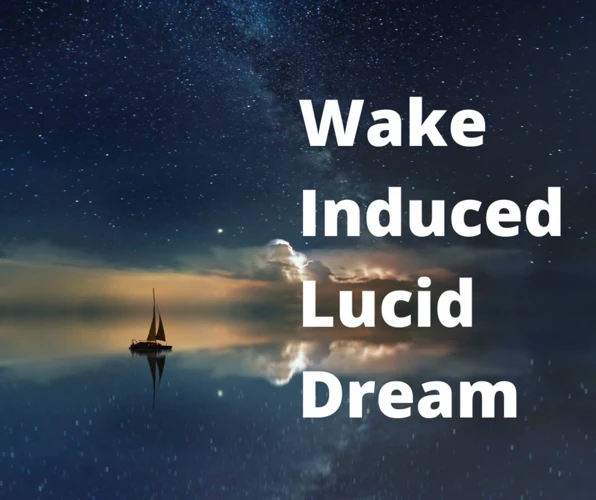 Understanding Wild Dreams