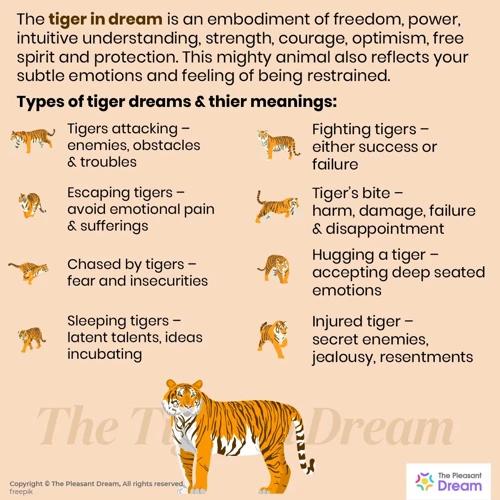 What Tigers Represent In Dreams